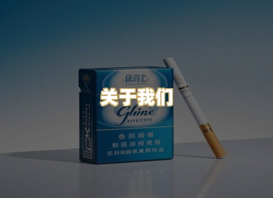 关于我们